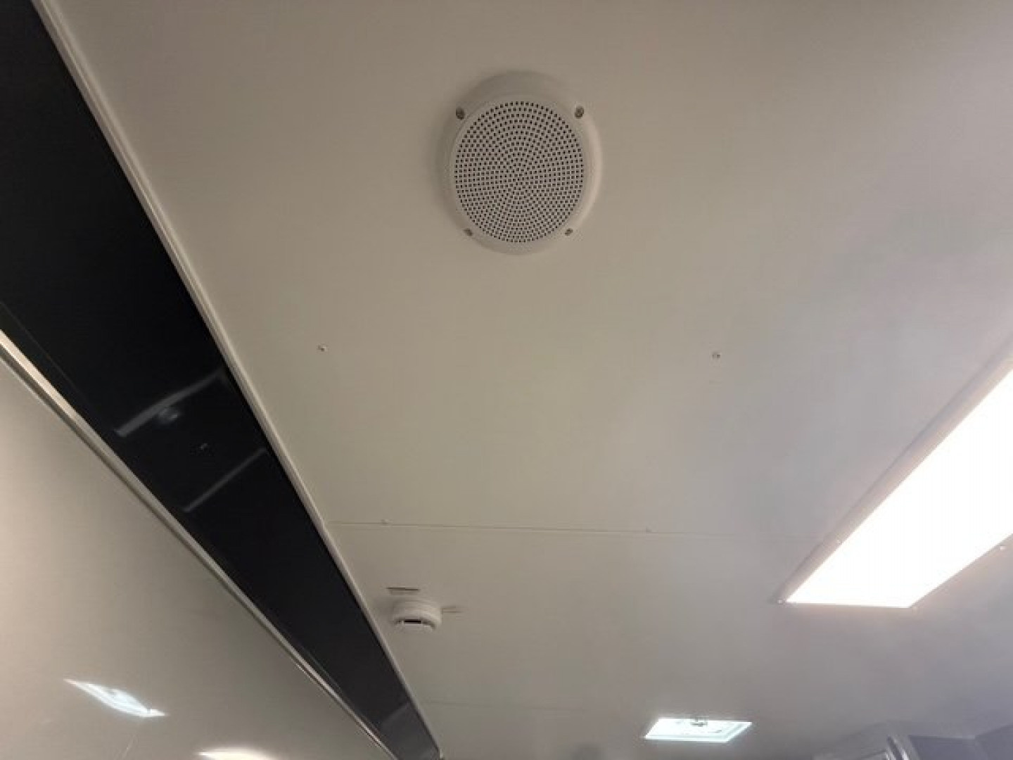 New 2025 Vintage Trailers 8.5x48 Race Trailer with Bathroom