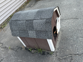 New 2025 Stoltzfus Woodworks SMALL DOG HOUSE