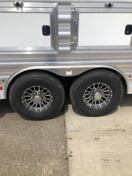 New 2025 Merhow 3H 16'SW Stampede LQ