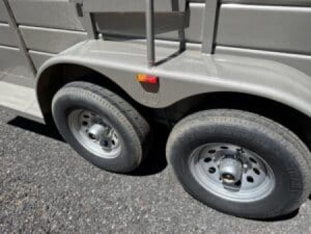 New 2025 6X16 Livestock All Around 6'6" Tall