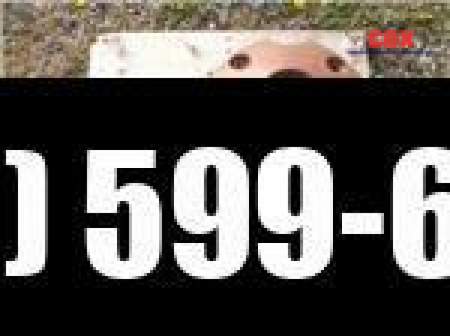 Used 1995 International REAR WHEEL WEIGHTS