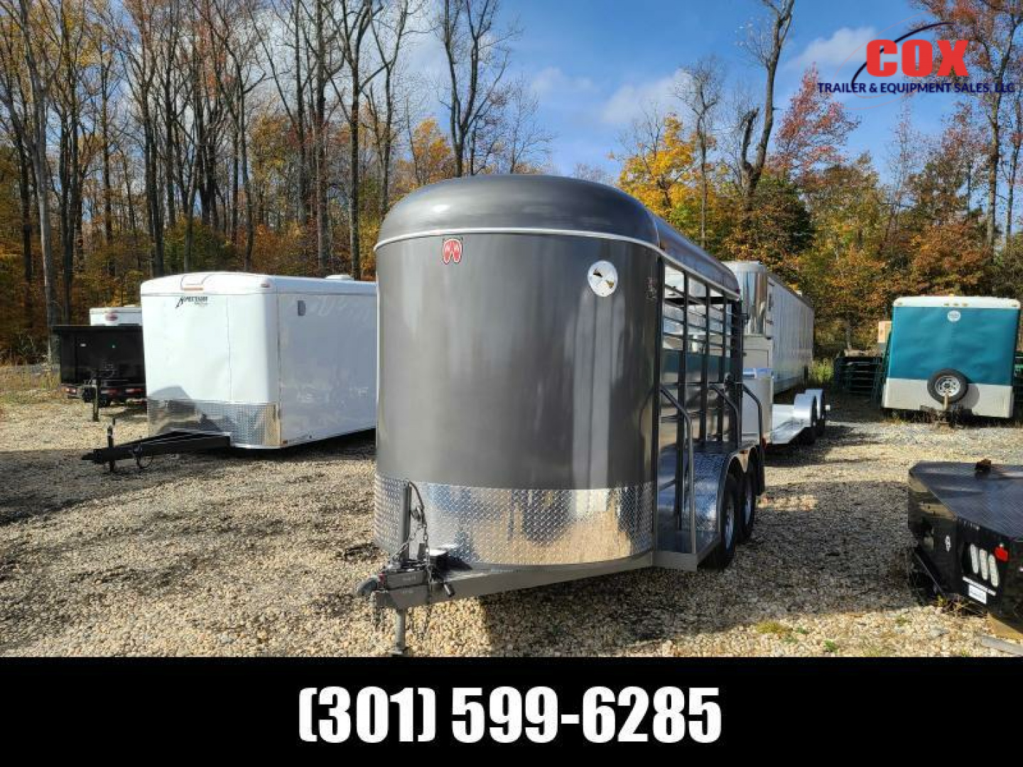 New 2022 W-W Trailer All Around Extra height Horse Trailer