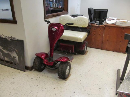 New Cricket Mini Golf Carts ESV Mini Golf Cart
